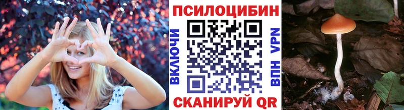 цены   Североуральск  Псилоцибиновые грибы MAGIC MUSHROOMS 
